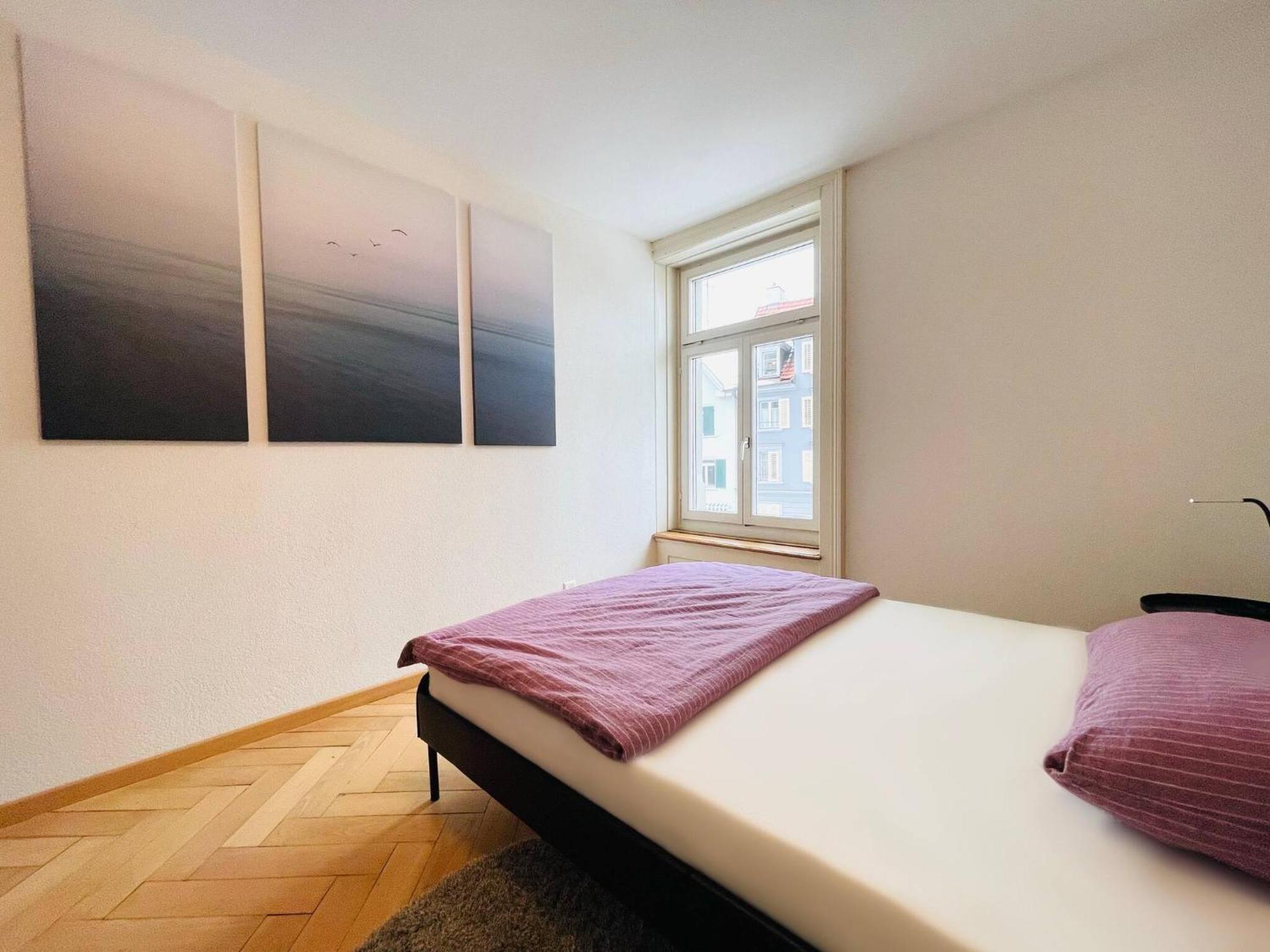 Beautiful, Bright, Large Apartment With Balcony Smarttv St. Gallen Exterior photo